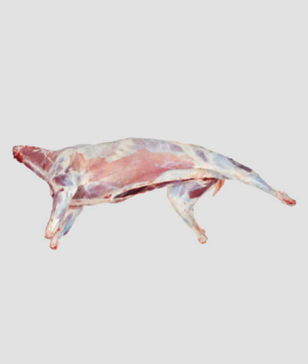 MK Premium Frozen Mutton Carcass