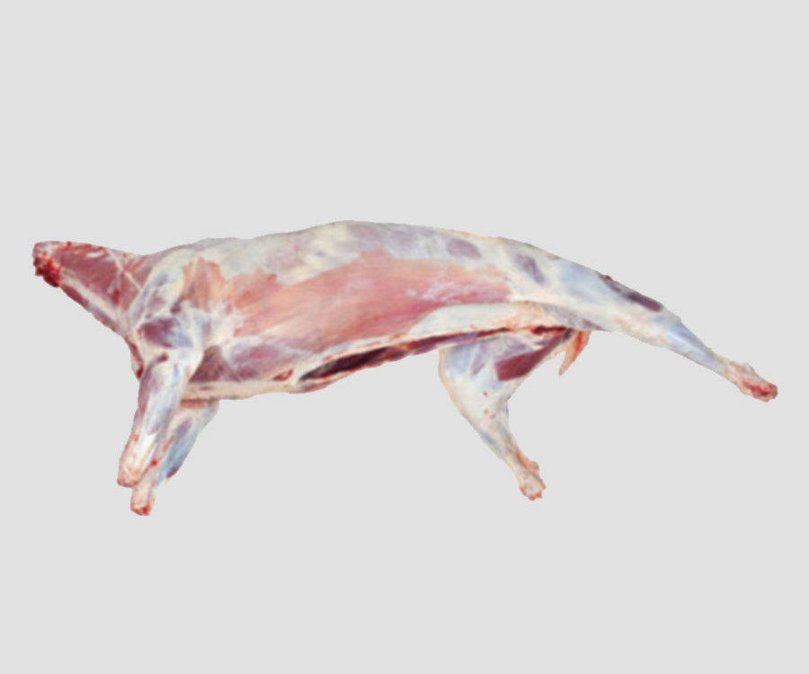 MK Premium Frozen Mutton Carcass