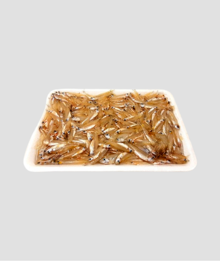 MK Premium Frozen Foods Fish keski tray